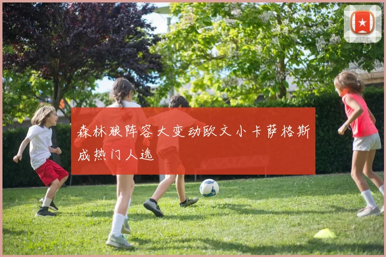 森林狼阵容大变动欧文小卡萨格斯成热门人选